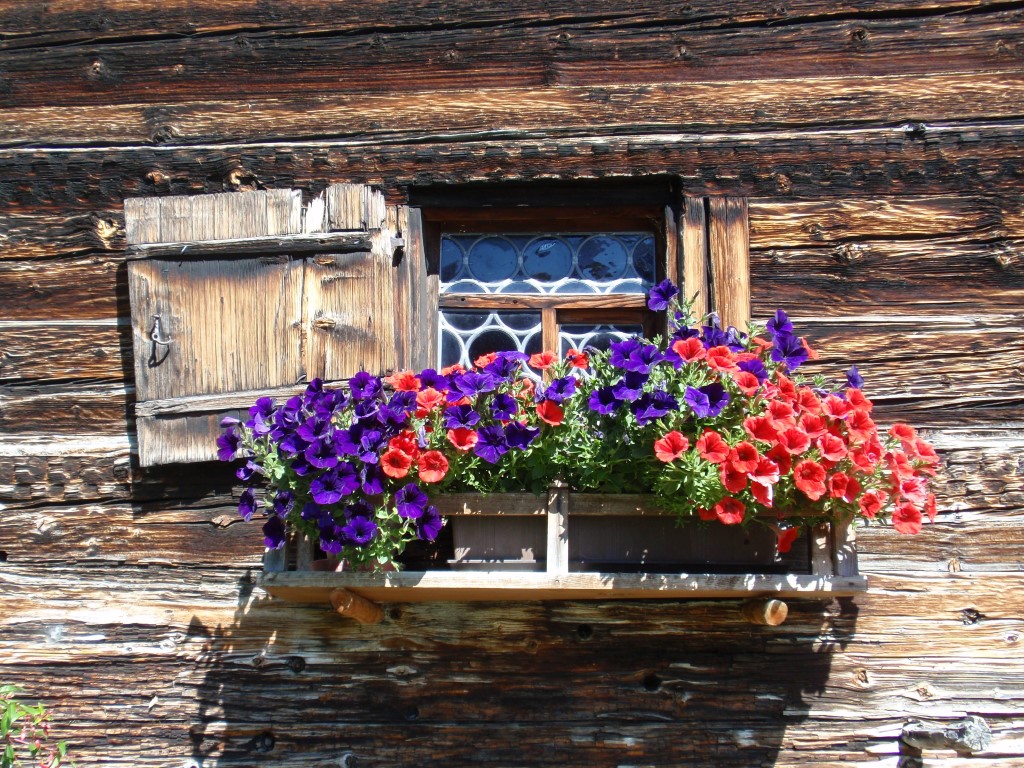 Aktuell Kirche Safiental